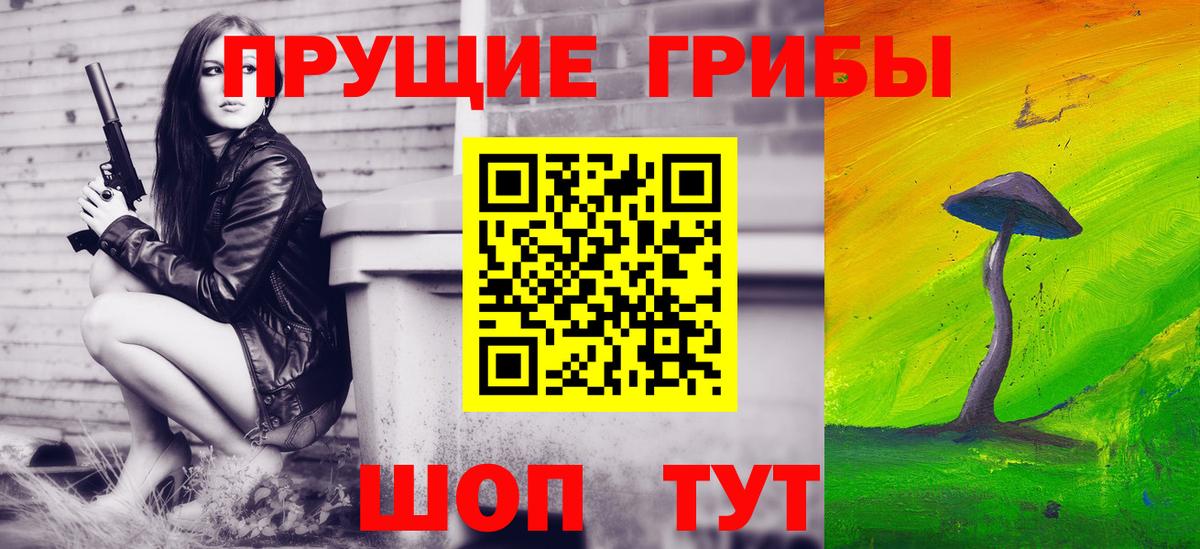 Галлюциногенные грибы Psilocybe Реутов