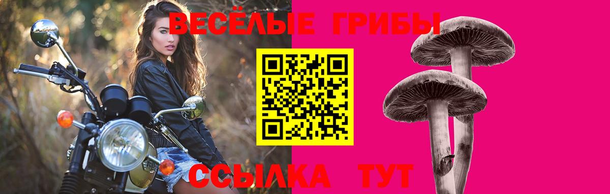 Галлюциногенные грибы GOLDEN TEACHER  Вход с VPN  Галлюциногенные грибы MAGIC MUSHROOMS  Реутов 